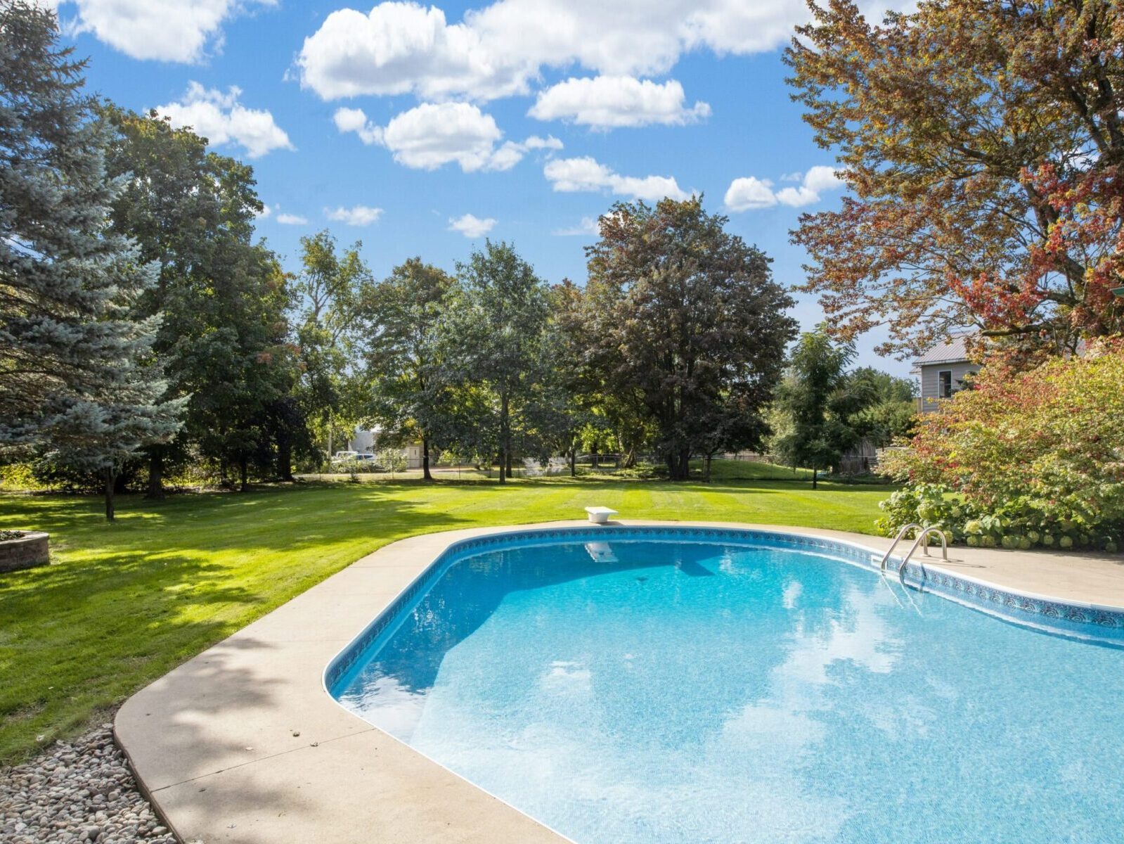 backyard and swimming pool in a luxury house